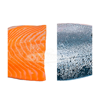 Salmón pequeño - Imagen 2