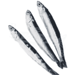 Boquerón pequeño 500 gr. (con espinas)