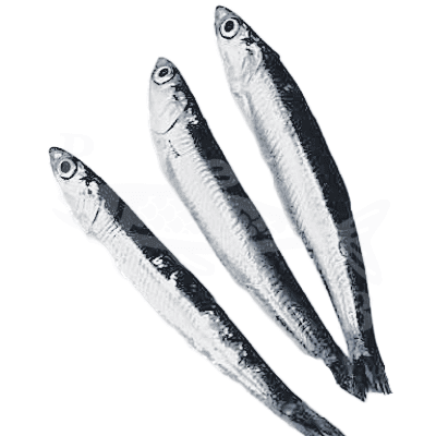 Sin título - 26 de juny del 2026, a les 12.36.51-1 Boquerón pequeño 500 gr. (con espinas) - Imagen 1