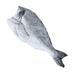 Dorada ECO del mediterráneo - Imagen 3